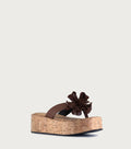 Plataforma Bloomy