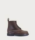 Borcego Hertz